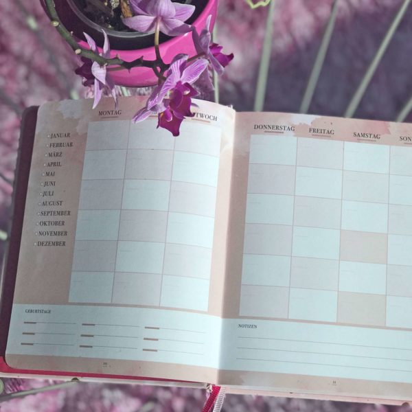 rosa Terminkalender "Lifestyle Planner" mit Wochenzielen, Wochenmotto, Aktivität, Ernährung und Lifestyle