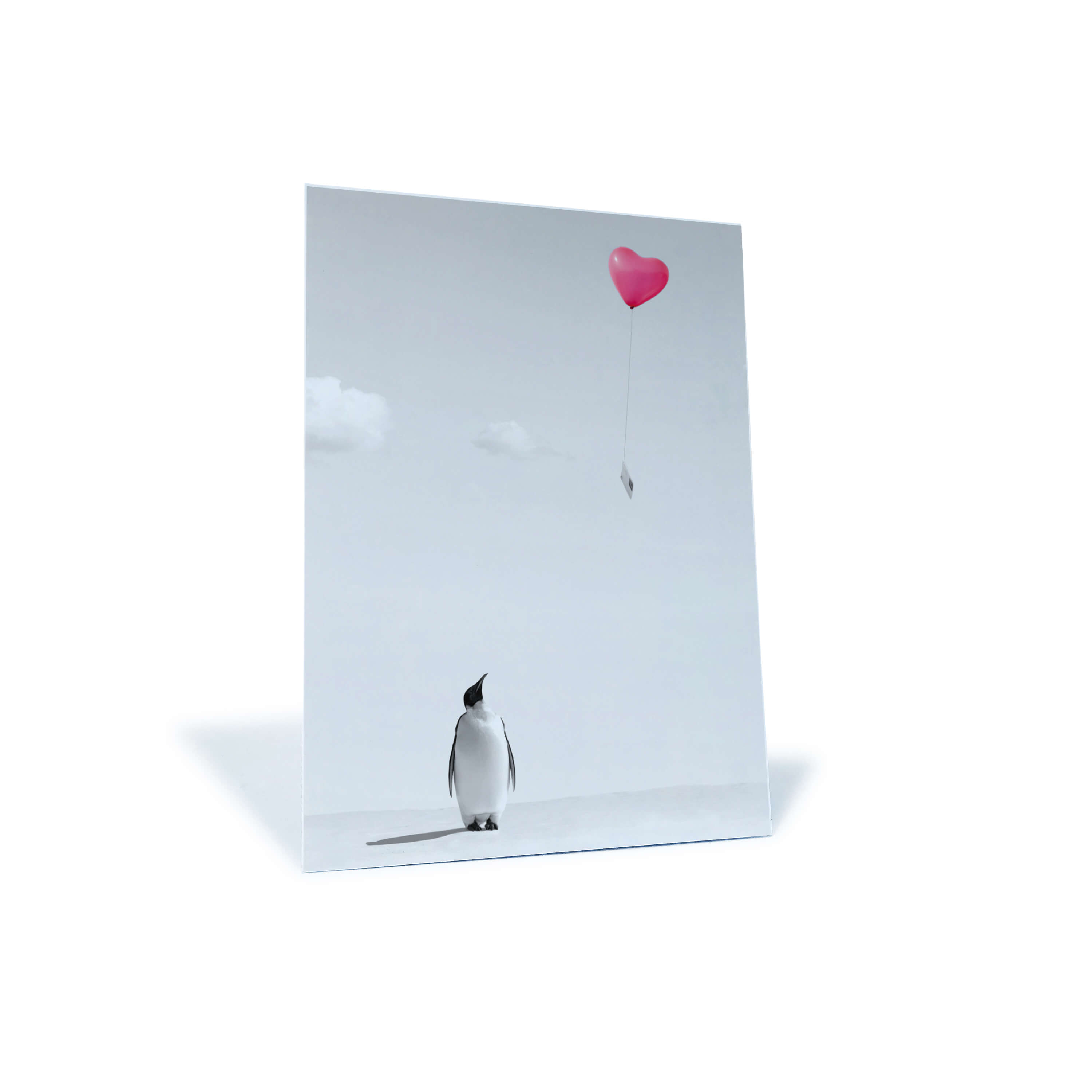 Romantische Postkarte Pinguin Liebe kaufen